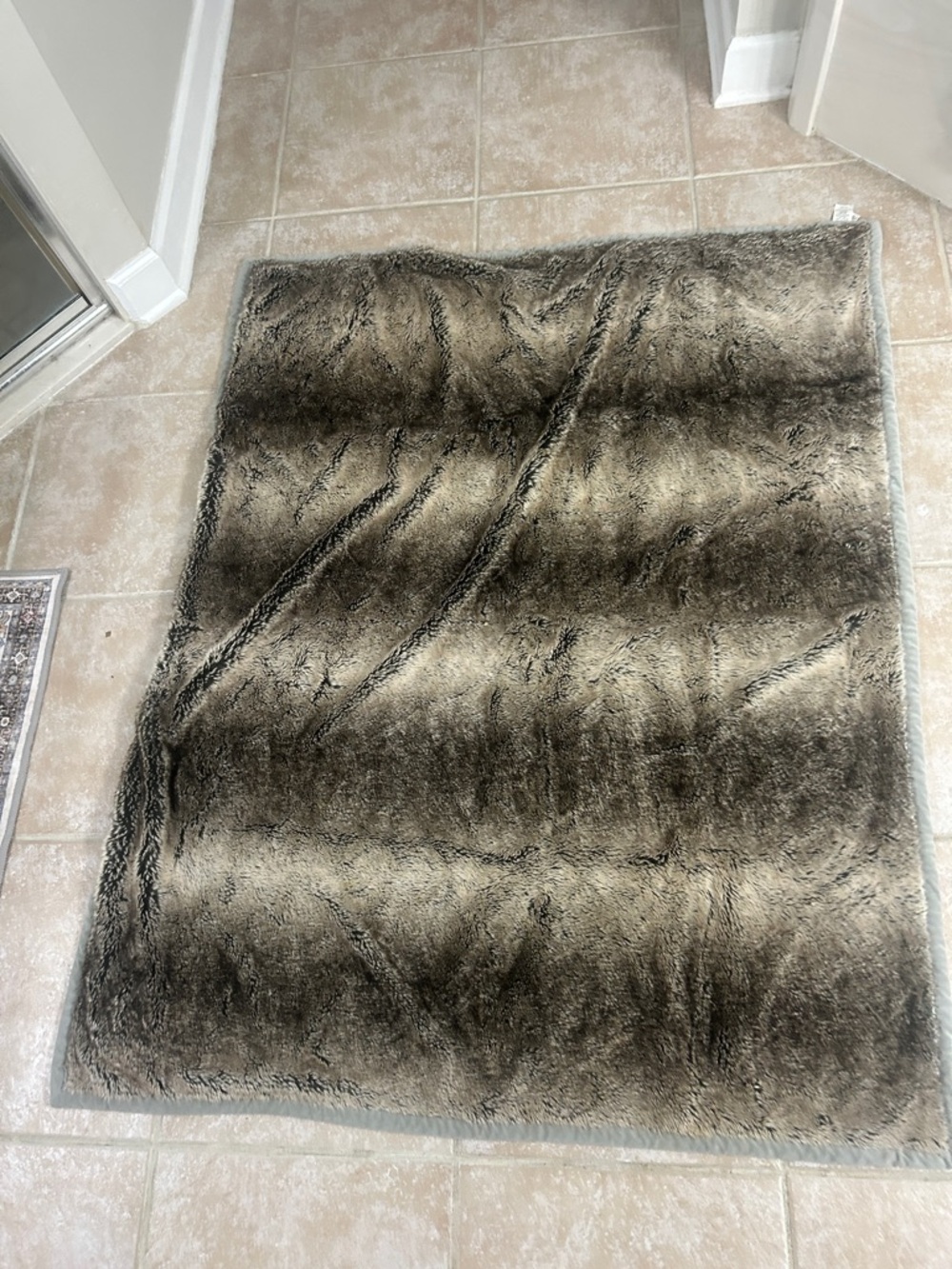 Pottery Barn Soft Silver-Gray Plush Throw blanket
